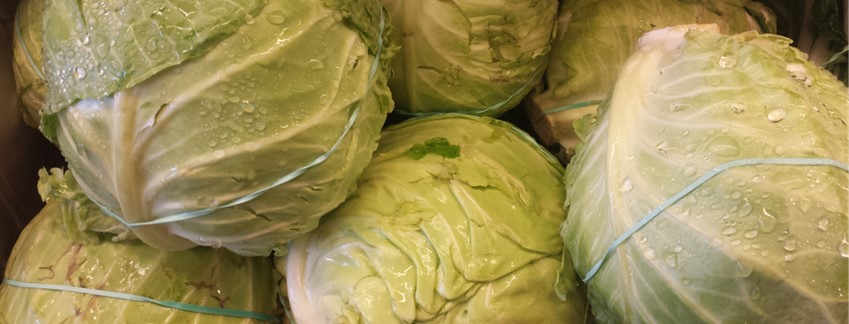 Natural Support Digestive Issues Foul Smelling Gas Plan Gallbladder Support Plan Digestive Support Plans Foul Smelling Gas Plan Intestinal Parasite Plan Microbiome Balance Plan