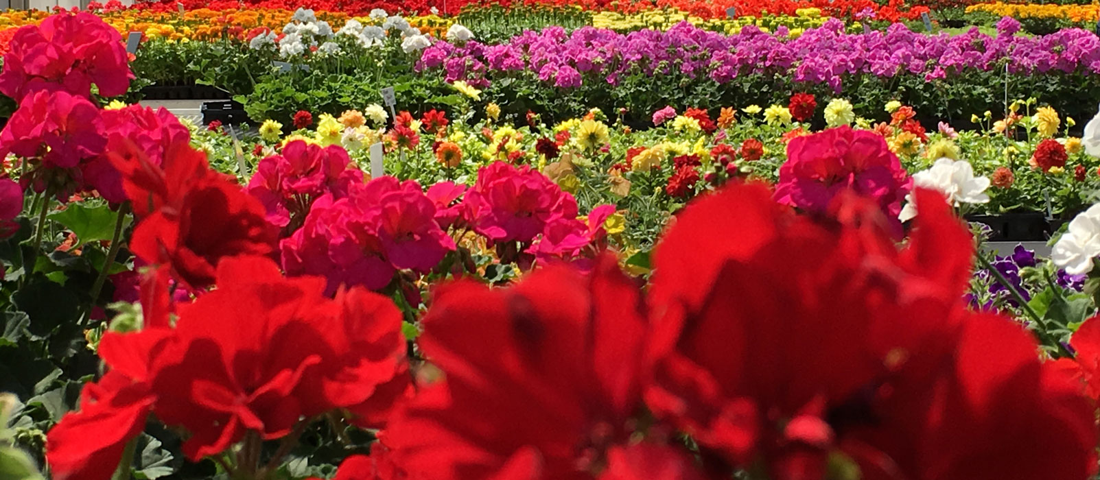 hot flash support plan