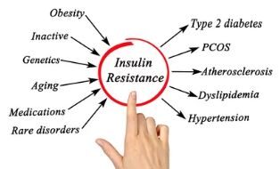 Blood Sugar Detox Course Introduction Program insulin resistant